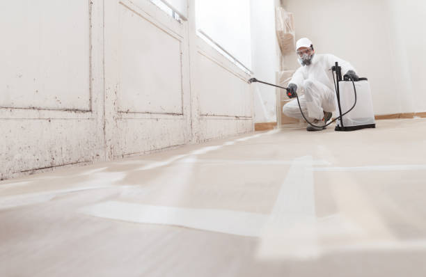 24/7 Emergency Commercial Mold Remediation experts in Villanova, PA